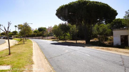 Bajo en Islantilla - HUELVA