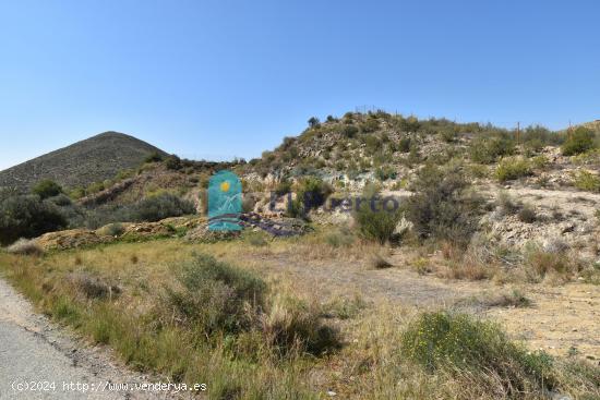 TERRENO EN PARAJE LAS BALSICAS DE MAZARRÓN - REF 2202 - MURCIA