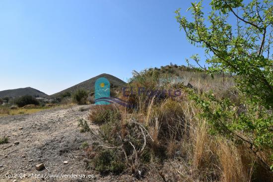 TERRENO EN PARAJE LAS BALSICAS DE MAZARRÓN - REF 2202 - MURCIA