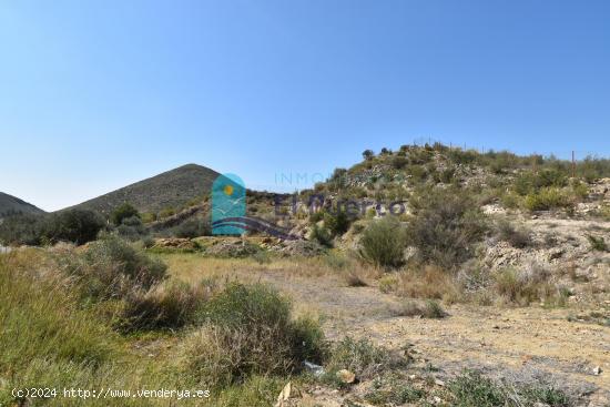 TERRENO EN PARAJE LAS BALSICAS DE MAZARRÓN - REF 2202 - MURCIA