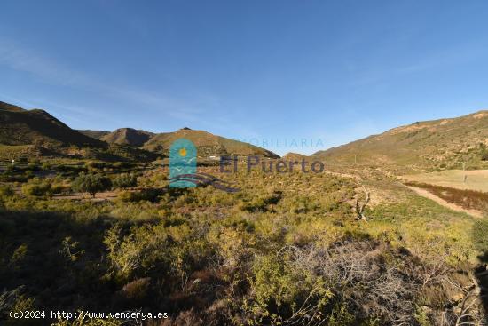 CASAS EN RUINAS EN TERRENO DE 20.000 METROS EN LAS BALSICAS - REF 2204 - MURCIA