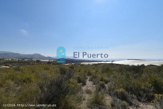 TERRENO EN VENTA CON BALSA DE RIEGO EN MAZARRÓN - REF 2206 - MURCIA