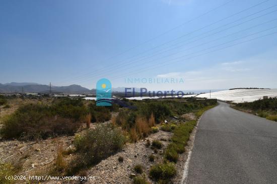 TERRENO EN VENTA CON BALSA DE RIEGO EN MAZARRÓN - REF 2206 - MURCIA