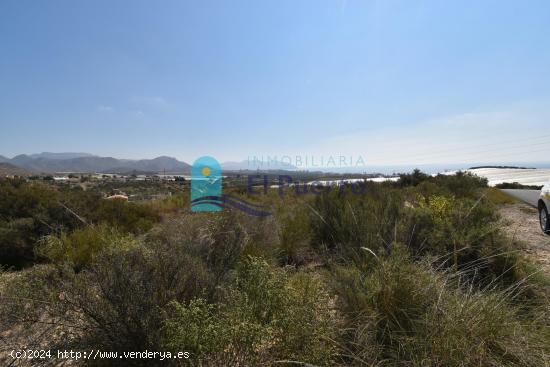 TERRENO EN VENTA CON BALSA DE RIEGO EN MAZARRÓN - REF 2206 - MURCIA