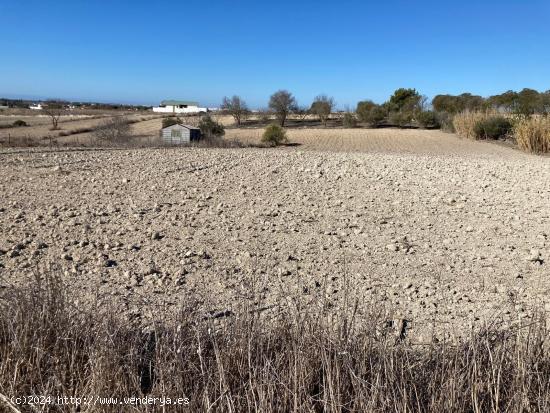 SE VENDE PARCELA SEGREGADA EN EL FONTANAR - CADIZ