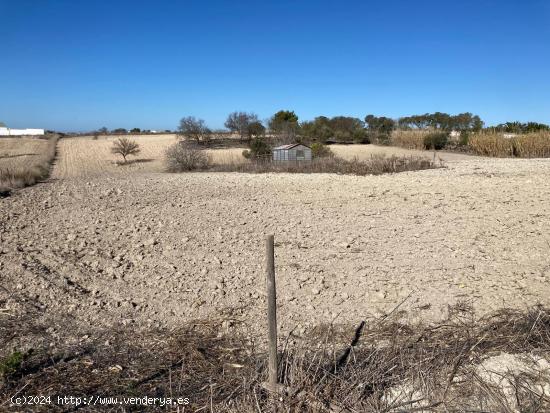 SE VENDE PARCELA SEGREGADA EN EL FONTANAR - CADIZ