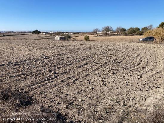 SE VENDE PARCELA SEGREGADA EN EL FONTANAR - CADIZ