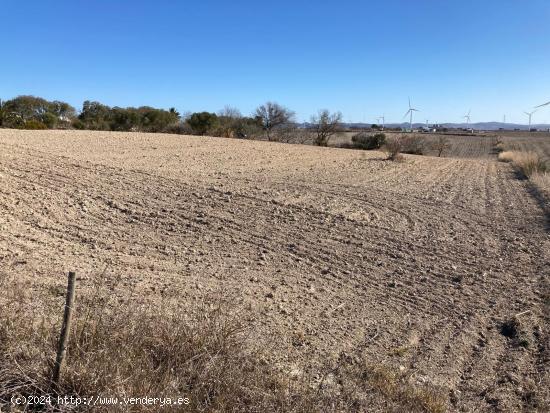 SE VENDE PARCELA SEGREGADA EN EL FONTANAR - CADIZ