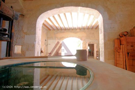 Impresionante mansión con coto, varios estanques y proyecto de agroturismo con piscina - BALEARES