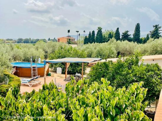 Finca rústica con piscina a 10 min del centro de Palma - BALEARES