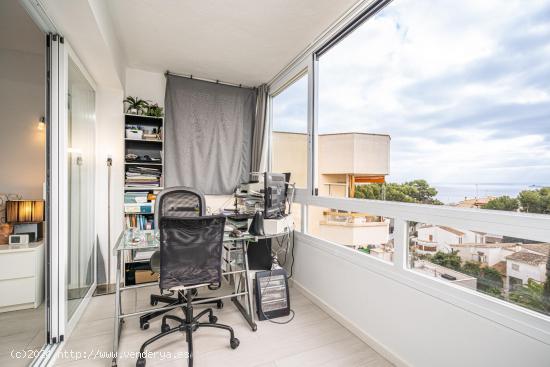 Se Vende en Palma de Mallorca - BALEARES