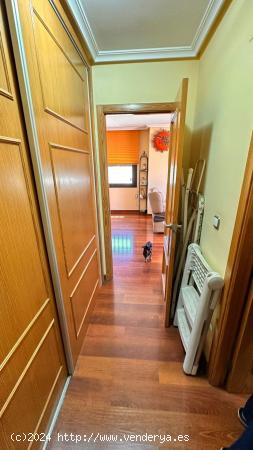 APARTAMENTO DE 2 DORMITORIOS 2 BAÑOS PISCINA COMUNITARIA EN TORREVIEJA (ALICANTE) - ALICANTE