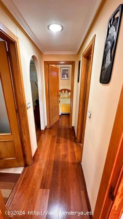 APARTAMENTO DE 2 DORMITORIOS 2 BAÑOS PISCINA COMUNITARIA EN TORREVIEJA (ALICANTE) - ALICANTE