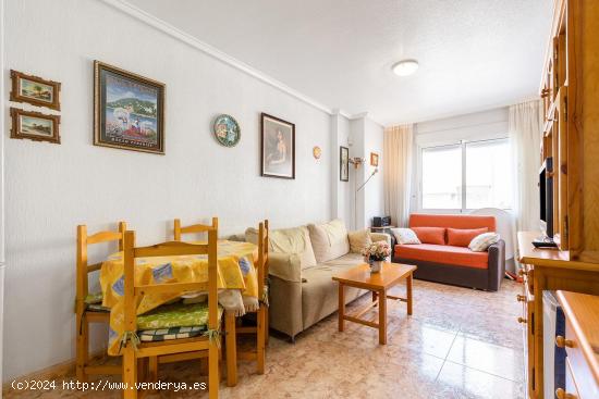 APARTAMENTO DE 1 DORMITORIO CON PISCINA EN TORREVIEJA (ALICANTE) - ALICANTE