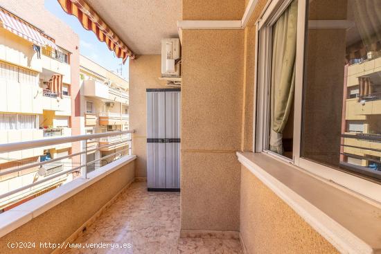 APARTAMENTO DE 1 DORMITORIO CON PISCINA EN TORREVIEJA (ALICANTE) - ALICANTE