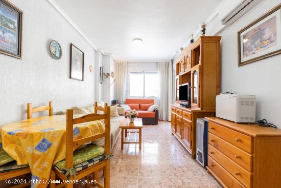 APARTAMENTO DE 1 DORMITORIO CON PISCINA EN TORREVIEJA (ALICANTE) - ALICANTE