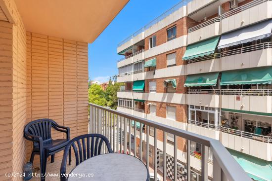 APARTAMENTO DE 4 DORMITORIOS 1 BAÑO ZONA ACEQUION EN TORREVIEJA (ALICANTE) - ALICANTE