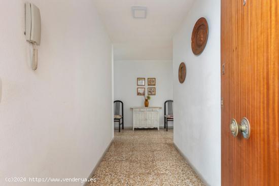 APARTAMENTO DE 4 DORMITORIOS 1 BAÑO ZONA ACEQUION EN TORREVIEJA (ALICANTE) - ALICANTE