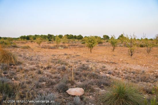 Terreno no urbano en venta - MURCIA