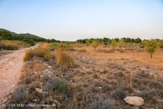 Terreno no urbano en venta - MURCIA