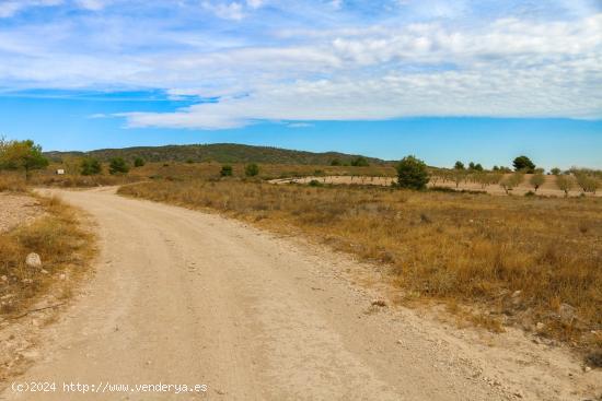 Terreno no urbano en Jumilla - MURCIA