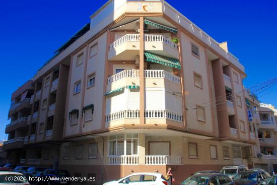 Céntrico apartamento a 200 metros de la Playa de Los Locos de Torrevieja. - ALICANTE