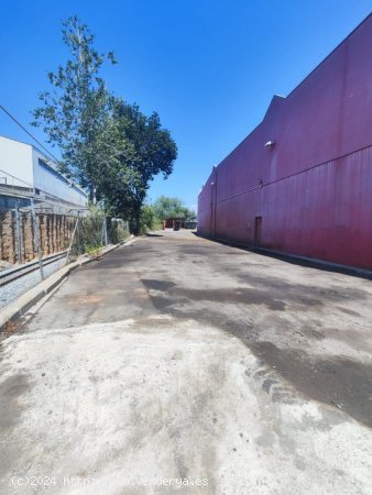 Nave industrial en alquiler  en Sant Andreu de La Barca - Barcelona