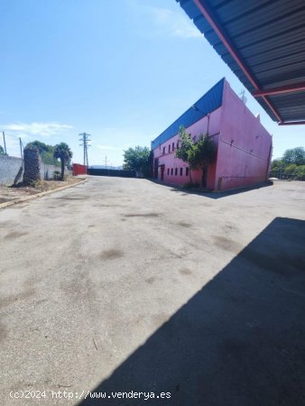 Nave industrial en alquiler  en Sant Andreu de La Barca - Barcelona