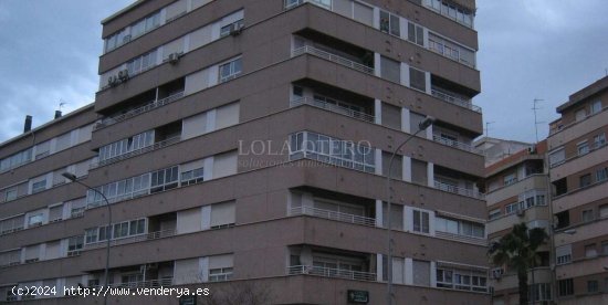 Local comercial en Alquiler en Patraix - Valencia