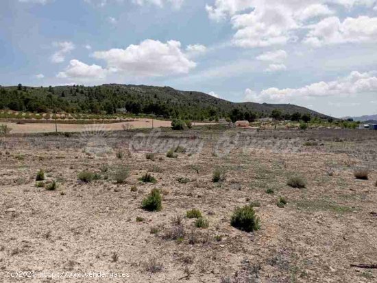 Suelo rústico en Venta en Yecla Murcia