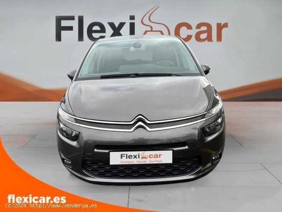 Citroën Grand C4 Picasso BlueHDi 120cv EAT6 Live - Vitoria-Gasteiz