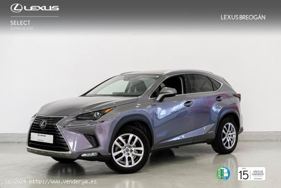 Lexus NX 300H 4WD BUSINESS NAVIGATION - A Coruña