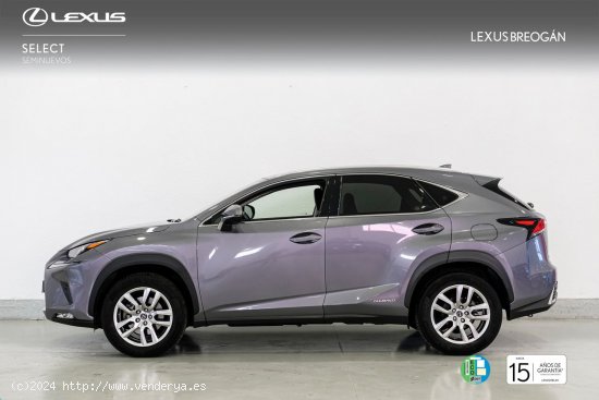 Lexus NX 300H 4WD BUSINESS NAVIGATION - A Coruña