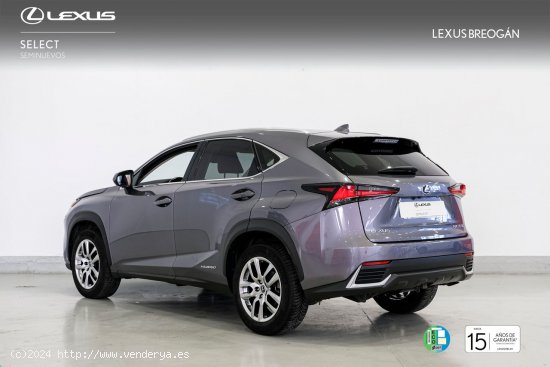 Lexus NX 300H 4WD BUSINESS NAVIGATION - A Coruña