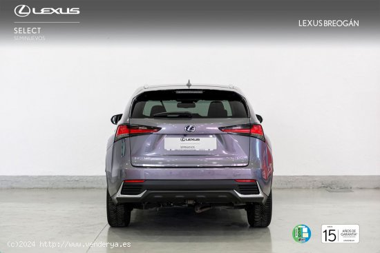 Lexus NX 300H 4WD BUSINESS NAVIGATION - A Coruña