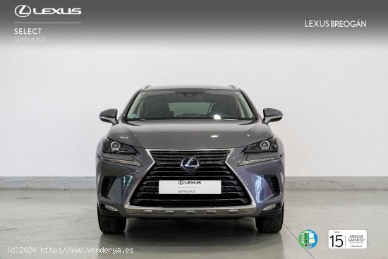 Lexus NX 300H 4WD BUSINESS NAVIGATION - A Coruña