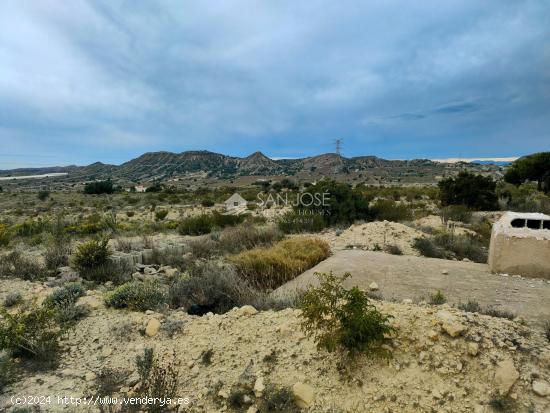 SE VENDE TERRENO RUSTICO EN MONFORTE DEL CID - ALICANTE