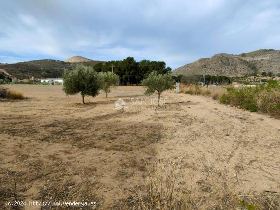 SE VENDE CASA DE CAMPO CON PARCELA EN ASPE EN MUY BUENA ZONA - ALICANTE