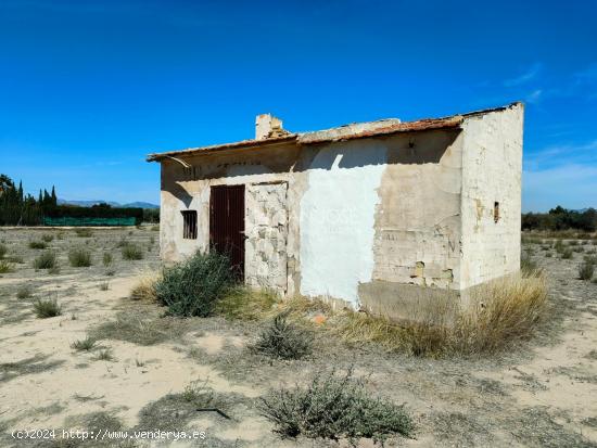 SE VENDE PARCELA RUSTICA EN ASPE ZONA HUERTA MAYOR - ALICANTE