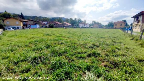 TERRENO URBANO EN SANTA MARIA DE CAYON - CANTABRIA