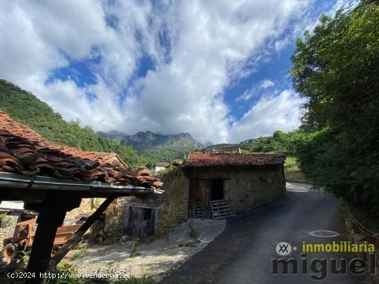 CASA EN CAMALEÑO PARA REFORMAR - CANTABRIA