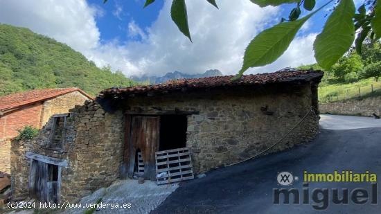 CASA EN CAMALEÑO PARA REFORMAR - CANTABRIA