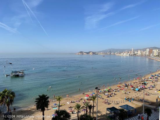 Amplio reformado piso en 1 Linea playa Levante con vistas preciosas al mar y Benidorm. - ALICANTE