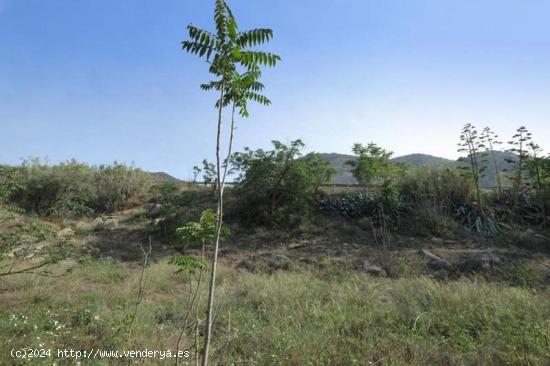  Finca rustica de secano con 738 metros cuadrados de parcela. - GRANADA 