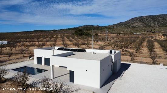 VILLAS DE OBRA NUEVA EN PINOSO - ALICANTE