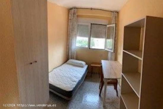 ¡PISO DE 4 HABITACIONES EN CARTUJA, PARA ESTUDIANTES! - GRANADA