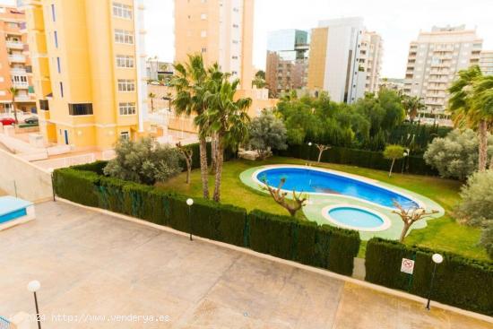 Se Vende en Guardamar del Segura - ALICANTE