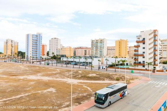 Se Vende en Guardamar del Segura - ALICANTE