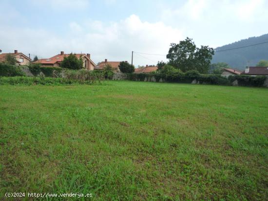 Terreno en el centro de Hozanyo. - CANTABRIA