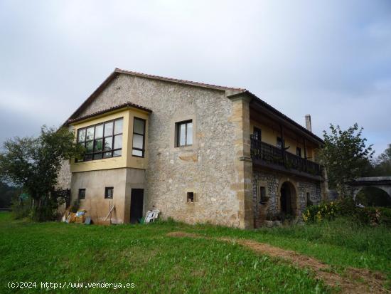 Terreno en el centro de Hozanyo. - CANTABRIA